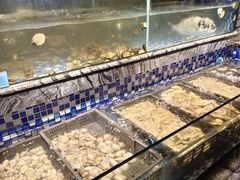 -喜庭海鲜自助(北辰三角洲北辰荟店)