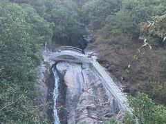 -广州白江湖森林公园