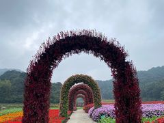 -广州市石门国家森林公园