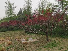 -玲珑塔公园
