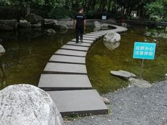 -神仙树公园