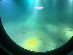 -白鹤梁水下博物馆