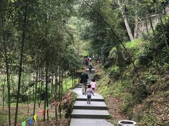 -藏龙百瀑风景区