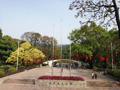 -云溪植物园