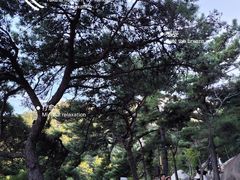 -崂山仰口游览区