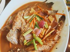 -魚當家