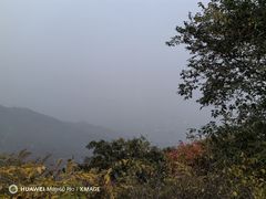 -香山公园