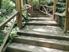 -大岭沟猕猴桃谷风景区