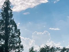 -良渚古城遗址公园
