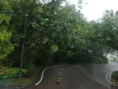 -美的鹭湖森林度假区