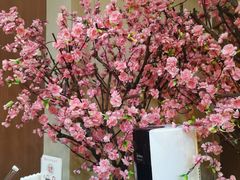-牛New寿喜烧(青浦店)