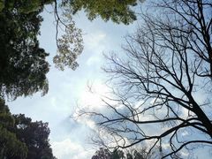 -石燕湖生态旅游景区
