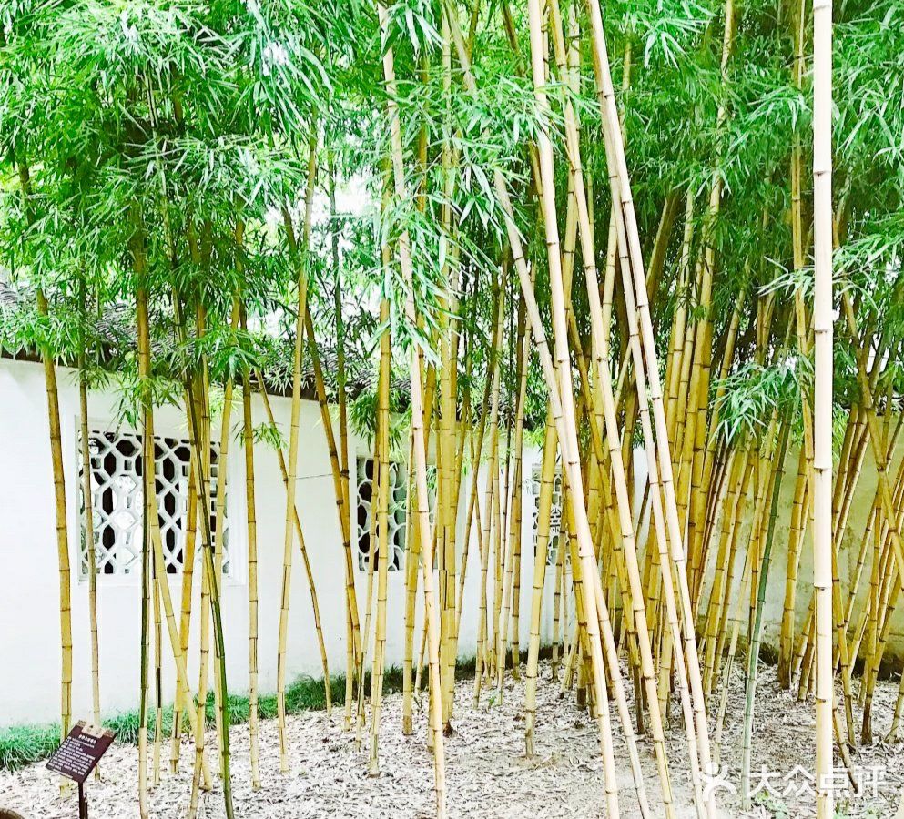 苏州旅游打卡攻略之沧浪亭