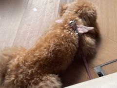 -The place那儿(新城国际店)