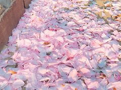 -唐城墙遗址公园