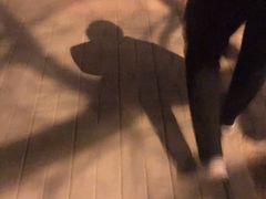 -九花山烤鸭店