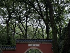 -灵谷景区