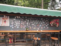 照片墙-柴犬高等学院·狗咖·柴犬售卖·宠物训练