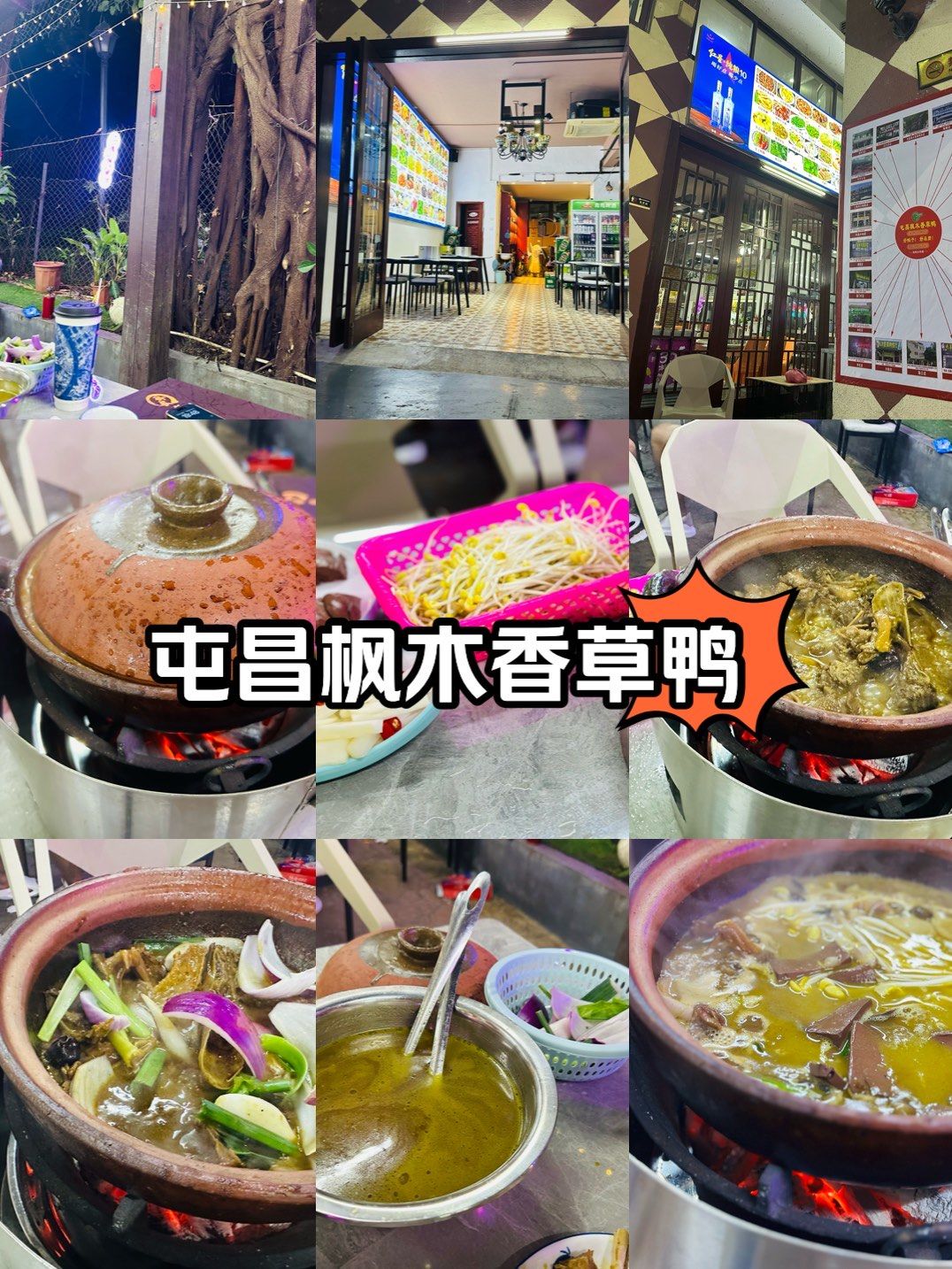 来海南总要尝尝 屯昌枫木香草鸭