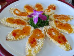 -麻奢鸽农庄·梦里水乡