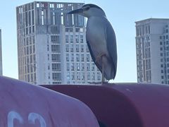 -南翠屏公园