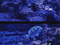 -长沙海底世界