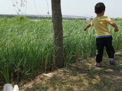 -绿堤公园