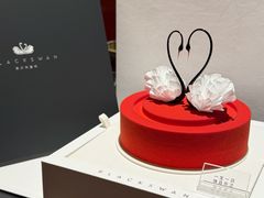 天鹅舞曲-BLACKSWAN黑天鹅(环球店)