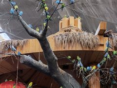 -南宫五洲植物乐园