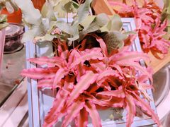 -KKV(深圳kk one 店)