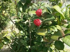 -御庭精品酒店(秦淮河店)