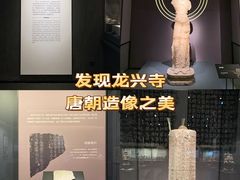 -四川大学博物馆