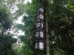 -天赐温泉