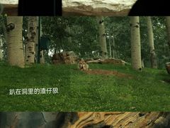 -北京野生动物园