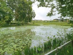 -中国天府农业博览园