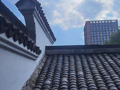 -日出青木