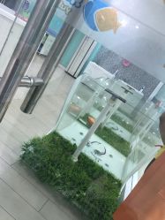 -鱼乐贝贝婴幼儿水育馆(星汇广场店)