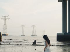 -宝安西湾红树林湿地公园