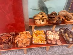 -草墩罗非鱼庄•野生菌•腊排骨(七星街上段店)