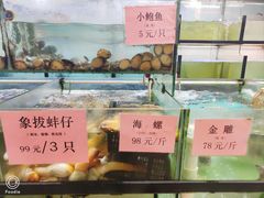 -联邦酒楼