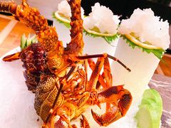 -甄御•海鲜新青岛菜(麦岛店)