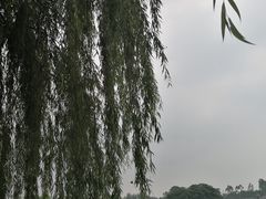 -三圣花乡旅游区