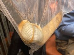 -协成海鲜火锅(情侣路店)