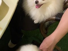 -香芙茗茶楼(梅家坞总店)