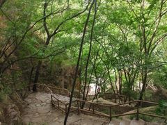 -北京上方山国家森林公园