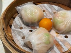 -点都德·毕德寮