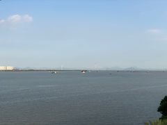 -大湾区中央湿地公园