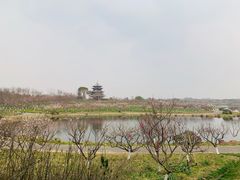 -上海海湾国家森林公园