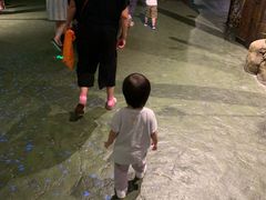 -蓝精灵乐园·世茂精灵之城主题乐园