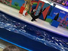 -成都浩海立方海洋公园